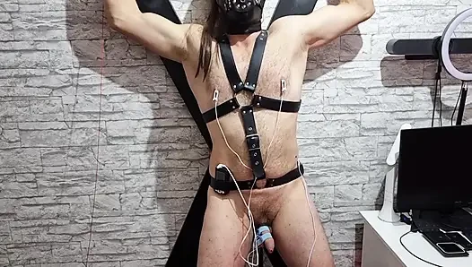 Electro Sounding Urethra Stretch - Cock Throbbing in Bondage Agony
