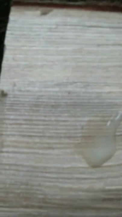 Cumshot and licking up Sperm | Clip 2