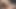 ベイブとのセックス