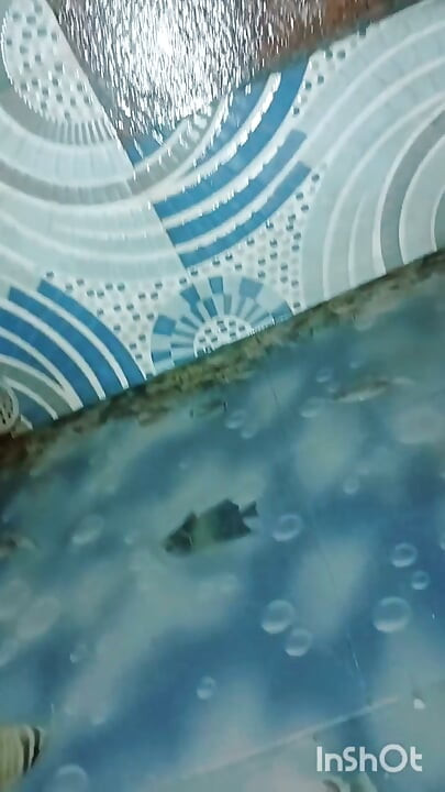 Pissing in girls bathroom in hostel