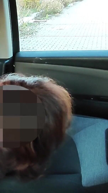Iconic moment from "DOGGING my STEPDAUGHTER in a PUBLIC PARKING lot after SCHOOL and a VOYEUR FUCKS her PUSSY until she SQUIRTS"