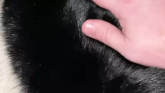 Fur thong