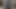 DarkNet