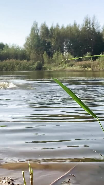 Trans djevojka pliva u jezeru u plavoj sportskoj haljini. Wetllok trans djevojka mokra.