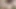Springtime Backyard Masturbation