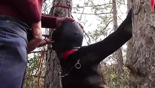 Секс на улице в лесу. Носить сексуальную одежду и высокие каблуки, связали, трахнули в глотку и трахнули