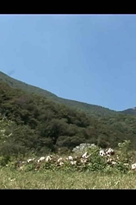 สาวนมใหญ่ดูดควยและเย็ดควยผู้ใหญ่ใหญ่บนภูเขา