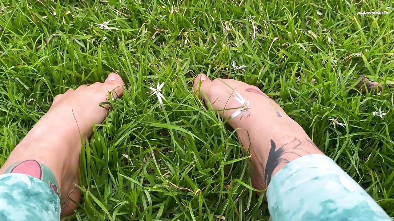 I Let You See My Feet Rubbing and Pressing Against the Grass