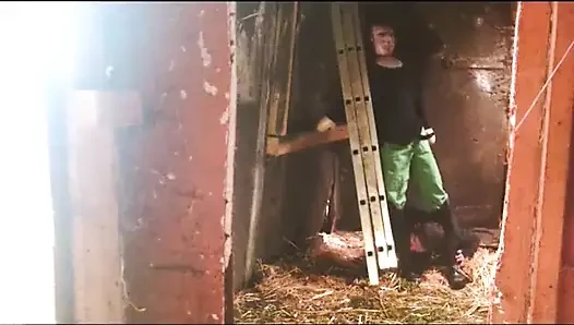 Film binicisi