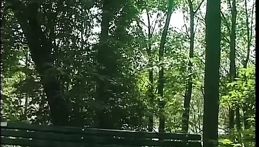 Pelacur pirang muda dijemput di taman memberikan blowjob yang bagus