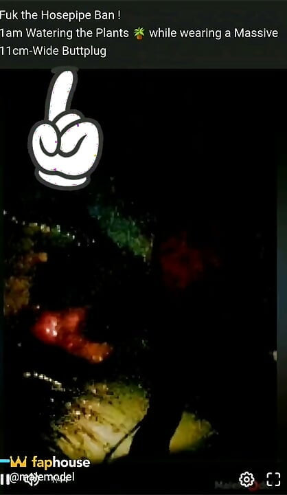 1am Naked in the Garden & a Buttplug