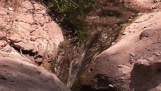 Мои секреты с настоящим большим черным мандинго... Лето грязных грехов...