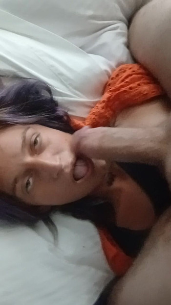 Pregled videozapisa