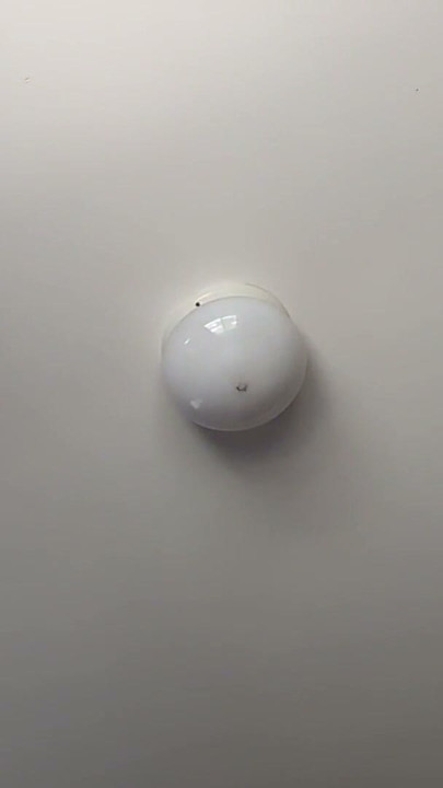 POV: We have an amazing morning on Valentine's Day (Solo Male romantic pussy eating, pounding you) | Clip 3