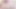 Nekopara Vol.1 - Chocola & Vanilla