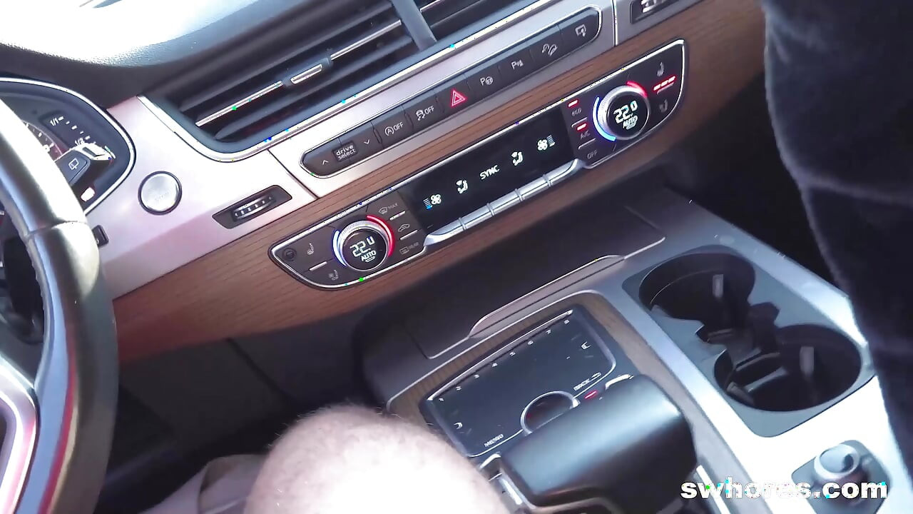Peter Stallion picks up Vitoria Vontese for bareback anal car sex at Swhores