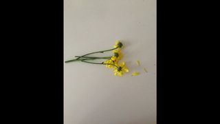 リー・ゲレーロのための花、3