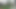I Recorded My Stepsister Sunbathing Naked and Masturbating in the Garden