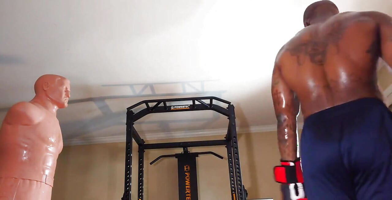 Boxing Workout the Core Is Defined by the Structures That Make up the Lumbo-pelvic-hip Complex (lphc) and Includes the Global an