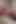 Denemek için yeni büyük bir dildo var