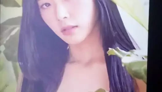 Dreamcatcher jiu boşalmak haraç