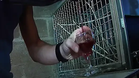 Зрелая брюнетка глубоко заглатывает огромный член с экшеном с выпуклой глоткой