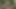 My stepfather confessed to me that he wants to fuck me tonight in my room when there is no one