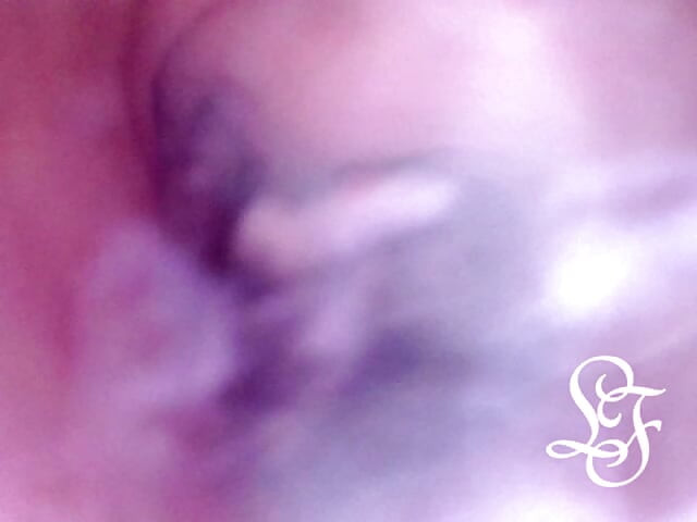 想游进我的屁股里吗？