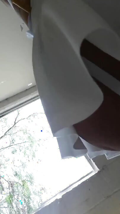 Shaggy White