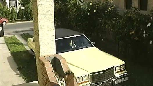 Attractive German sluts getting fucked in hot foursome