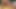 Hot Wife Lena - Garden Masturbation with Dildo - Real Amateur Squirting Orgasms