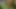 Two Tattooed Fake-titty Sluts Lick Pussies and Scissor in the Park