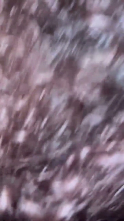 Ella me chupó toda la leche BBC | Clip 1