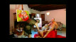 Pregled videozapisa