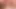 Der Porno-Streber: Cassandra: blowjob 2