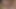 COMPILATION of Creampies and Cumshots - Part.1
