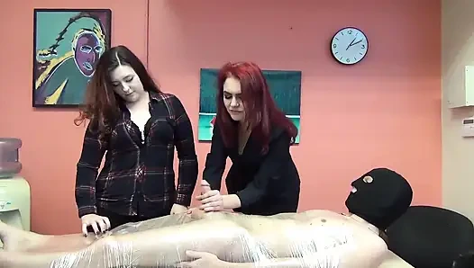 Otoriter priscilla priscilla