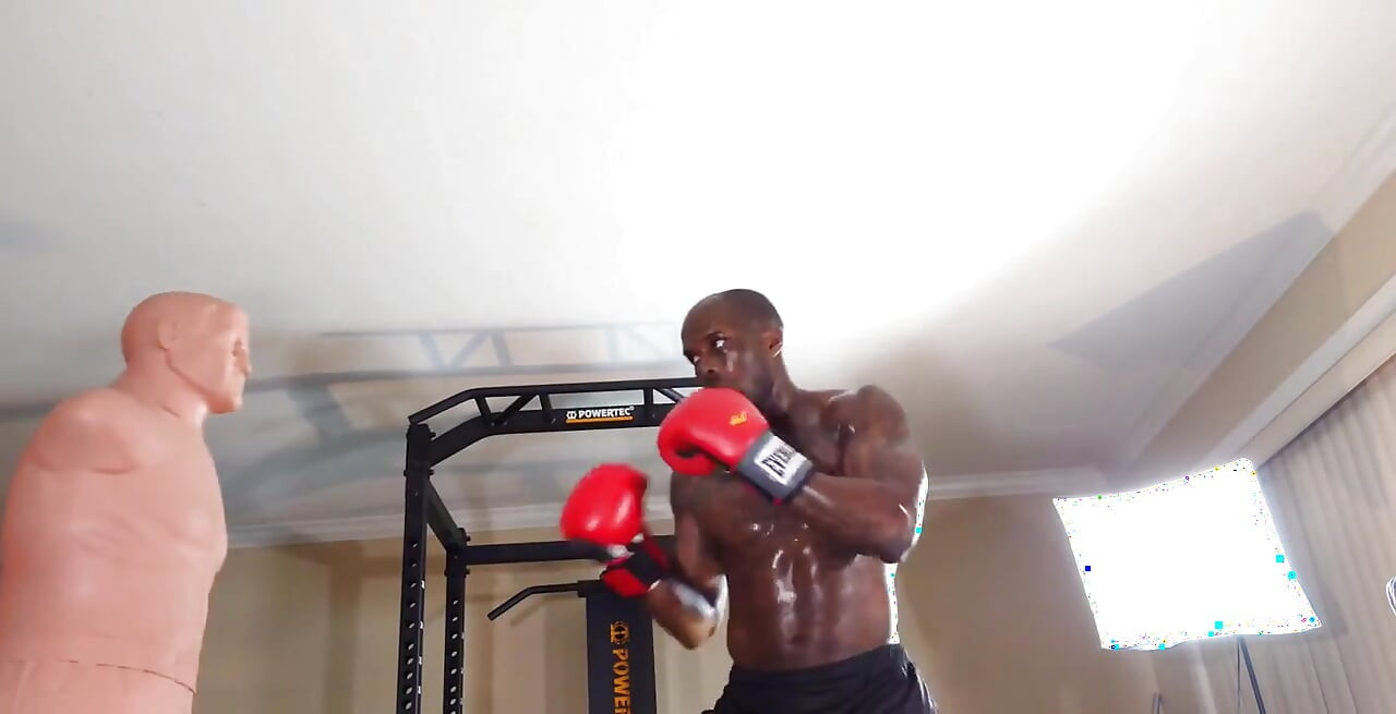 Boxing Workout When Designing a Core Training Program, the Local and Global Muscles Should Both Be Trained to Develop Proper Cor