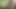 spontaneous idea, naked through the forest part2