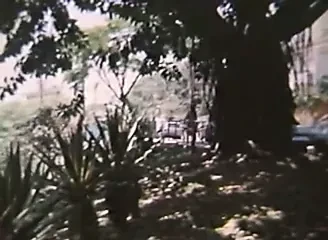 Senta no Meu, Que Eu Entro na Tua (1985)