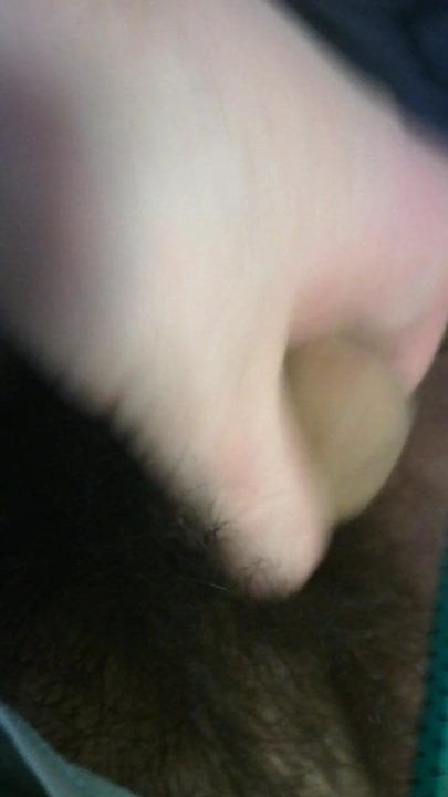 Fichen