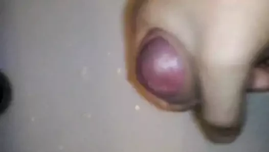 Gonzo