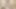 赤毛ストリッパー、スカーレット・フォックス セクシークラブ JOI