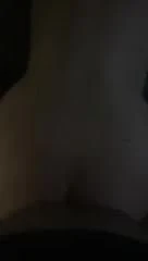 기념일 강아지