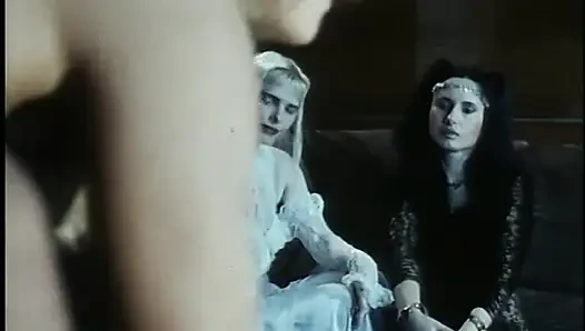 Young babes love hard cocks