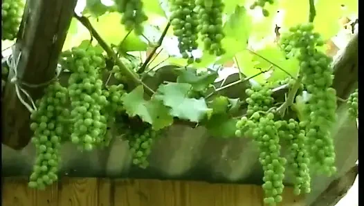 Fetish dengan pasangan dewasa