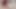 Hair Fetishist Boy Cheats on His Girlfriend in Front of Her with a Girl with a Hairy Pussy and Armpits