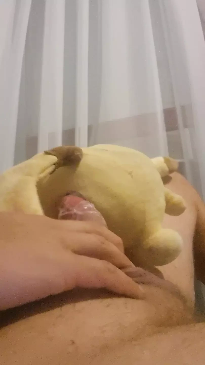 射在毛茸茸的