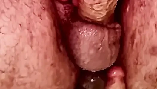 Exploratio erotica ursi BravoXray7 Brokk