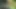 Tertangkap basah telanjang berjemur dan kacau di tepi hutan